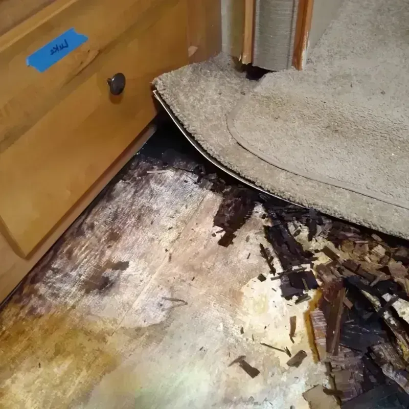 Wood Floor Water Damage in Swanton, OH